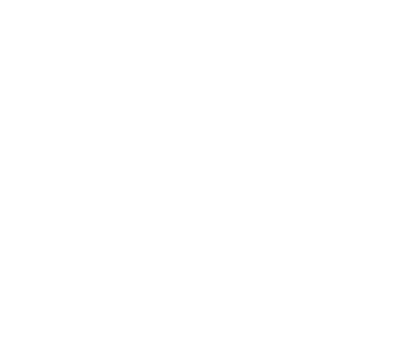 Brasa BBQ i Piteå logotyp