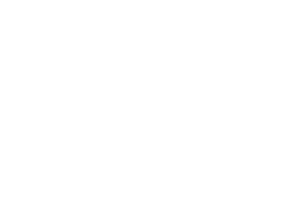 Nivå i Karlskrona logotyp