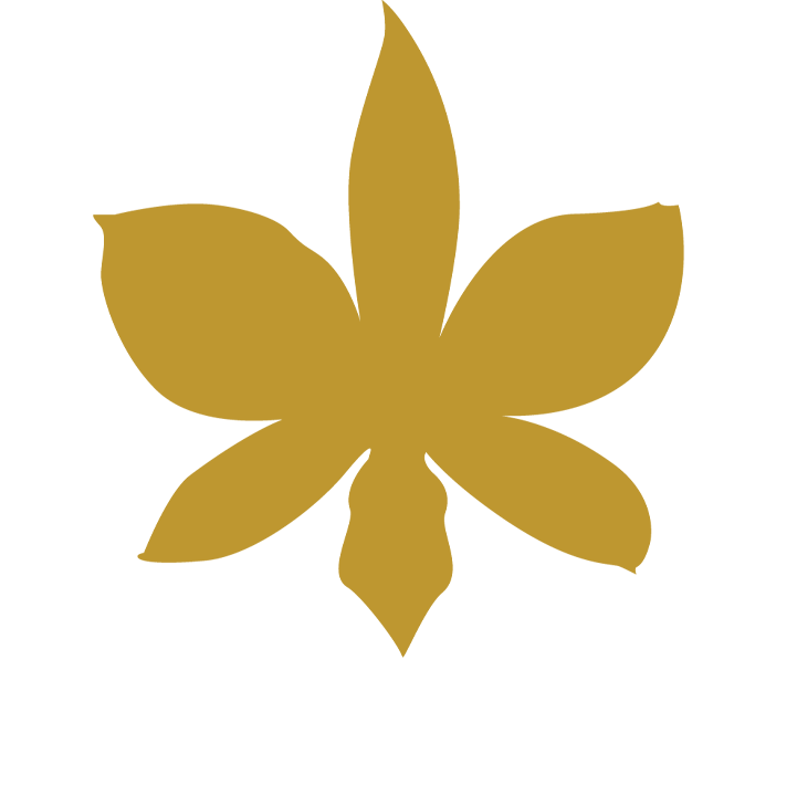 Thai Corner i Helsingborg logotyp